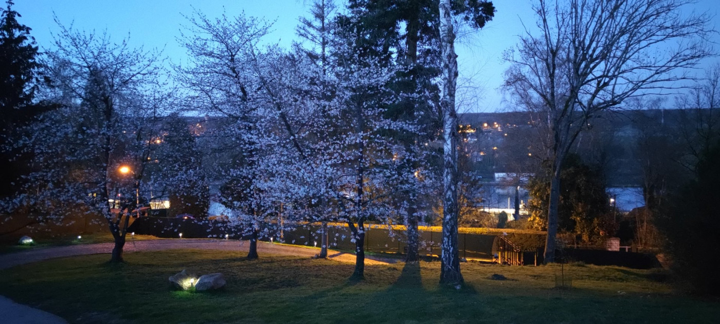 vente Villa d'architecte Boissise Le Roi - Photo 19