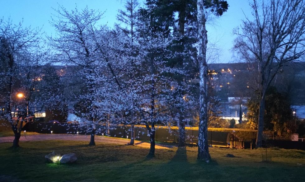 vente Boissise Le Roi