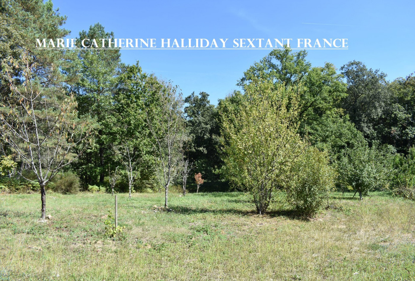 vente Propriété Rouffignac Saint Cernin De Reilhac - Photo 5