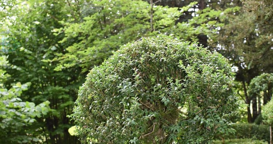 vente Château Sorges