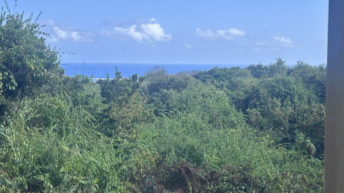 vente Maison individuelle Sainte Anne - Photo 4