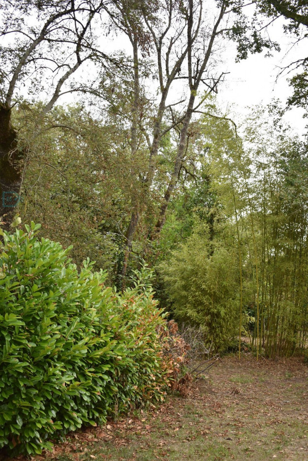 vente Maison Moulin-neuf - Photo 24