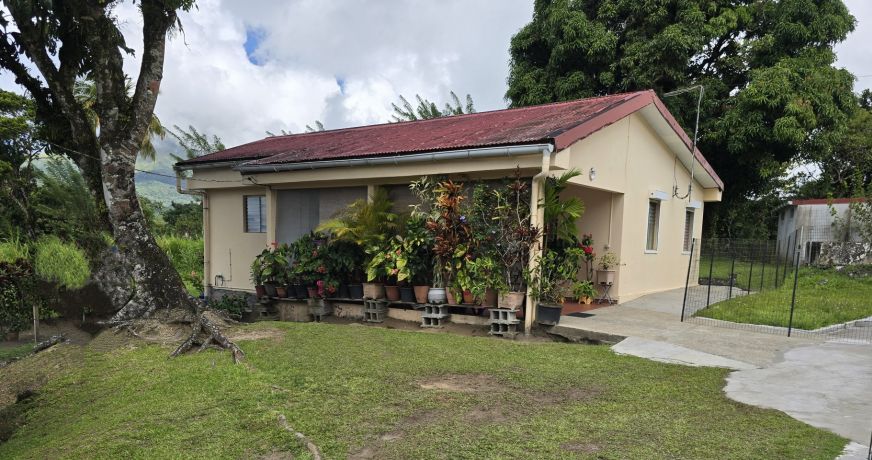vente Maison Le Morne Rouge