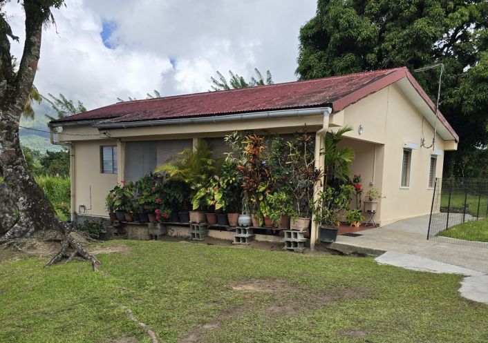 vente Maison Le Morne Rouge