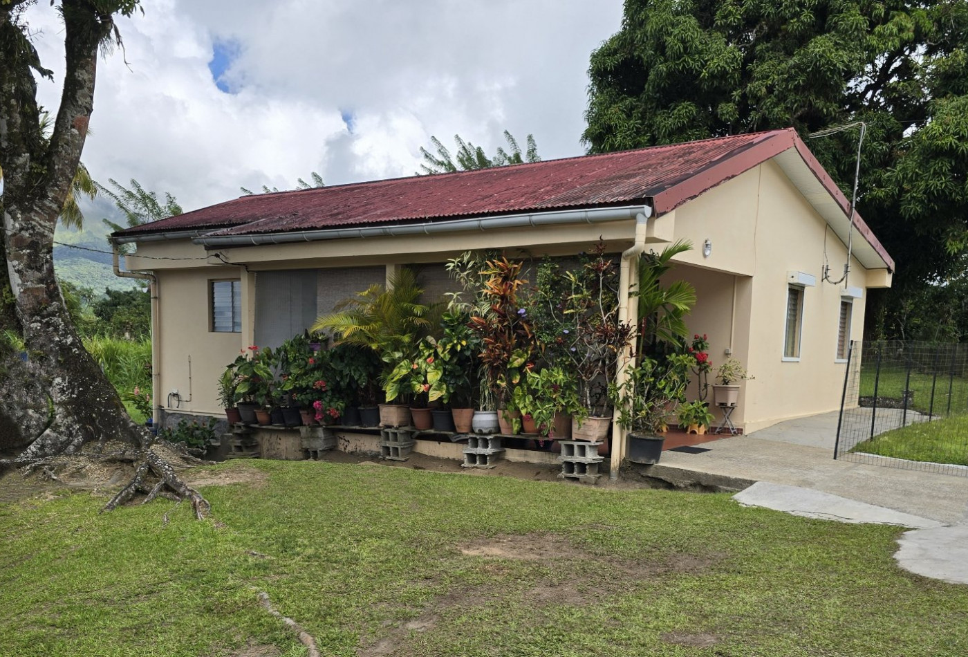 vente Maison Le Morne Rouge - Photo 1
