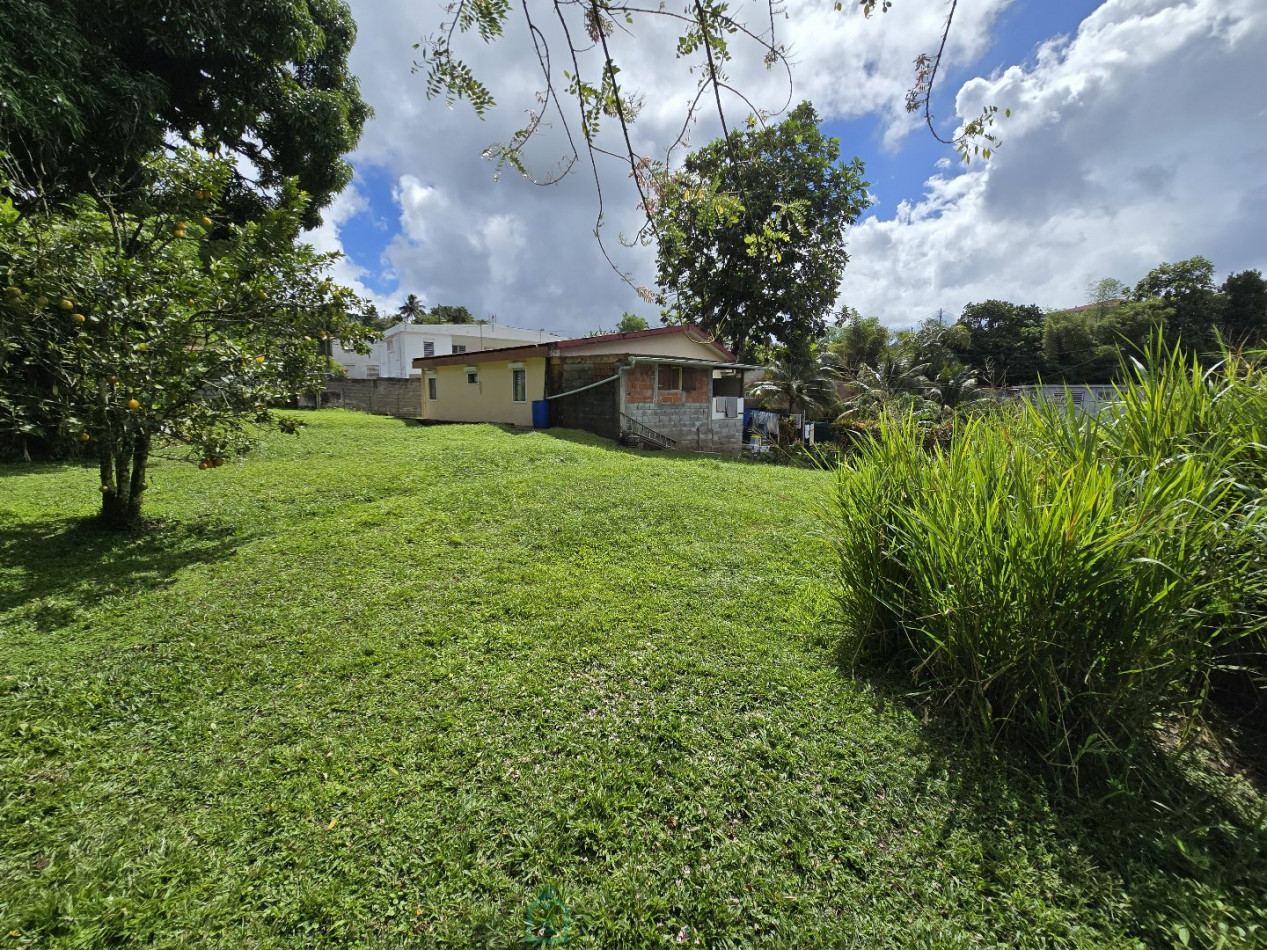 vente Maison Le Morne Rouge - Photo 4