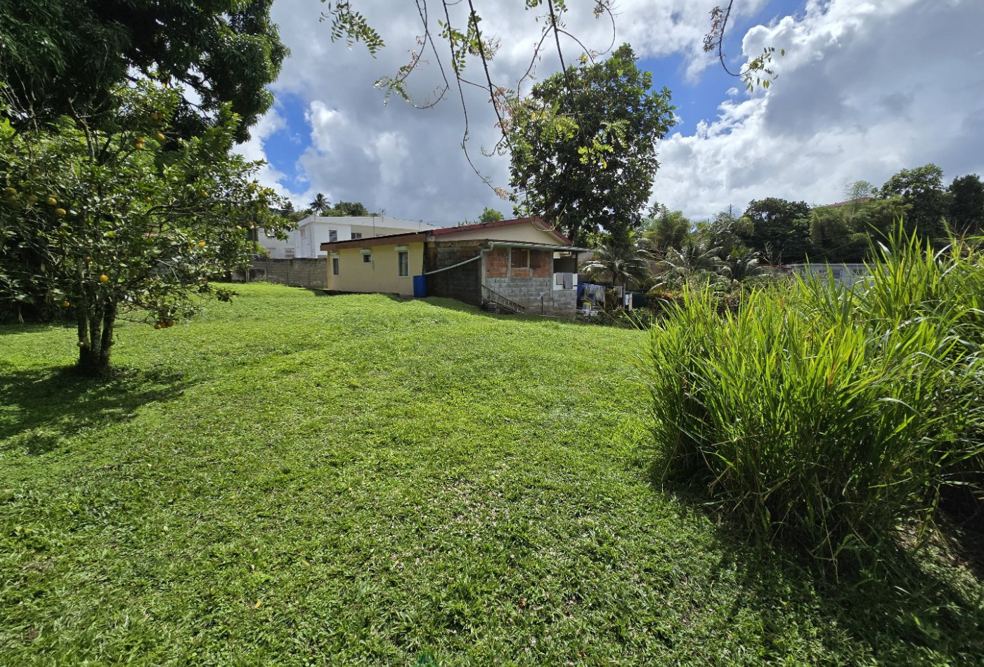 vente Maison Le Morne Rouge - Photo 4