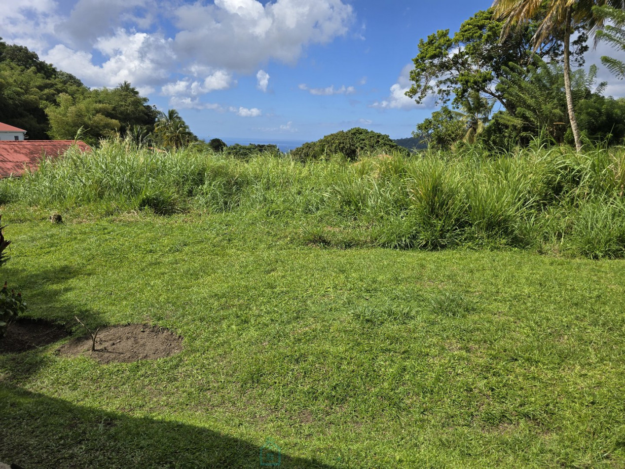 vente Maison Le Morne Rouge - Photo 6