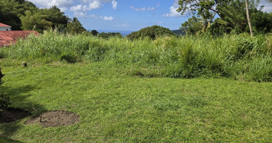 vente Maison Le Morne Rouge