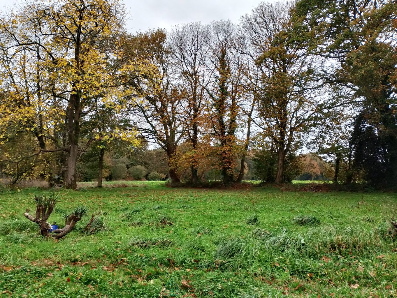 vente Maison Meneac - Photo 21