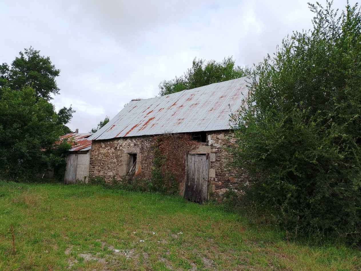 vente Maison Saint Barnabe - Photo 10