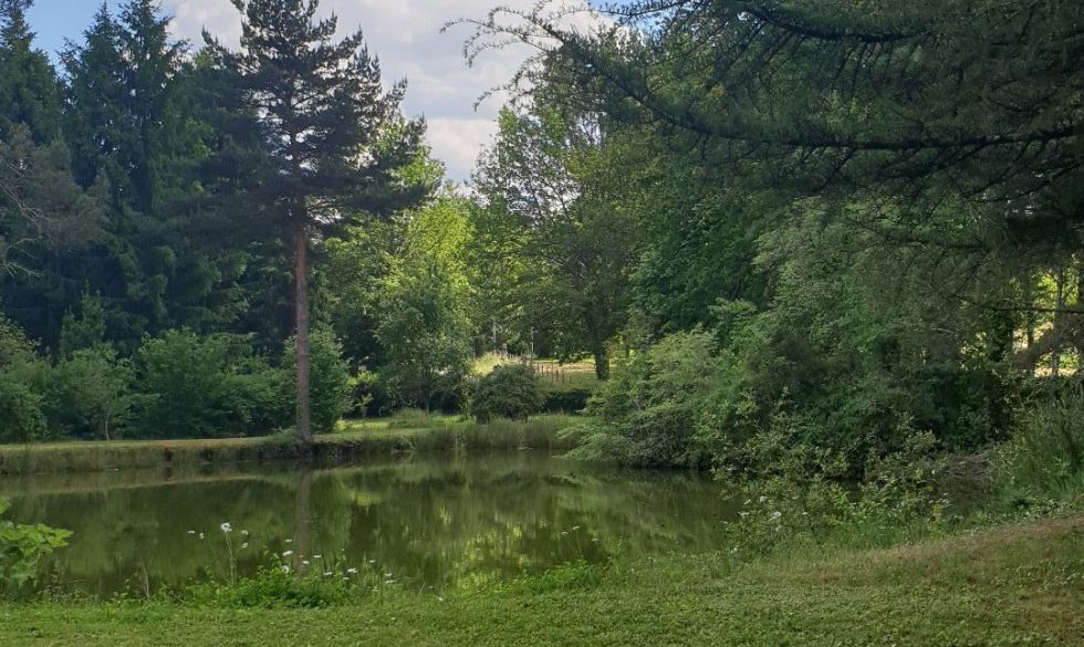 vente Rouffignac Saint Cernin De Reilhac