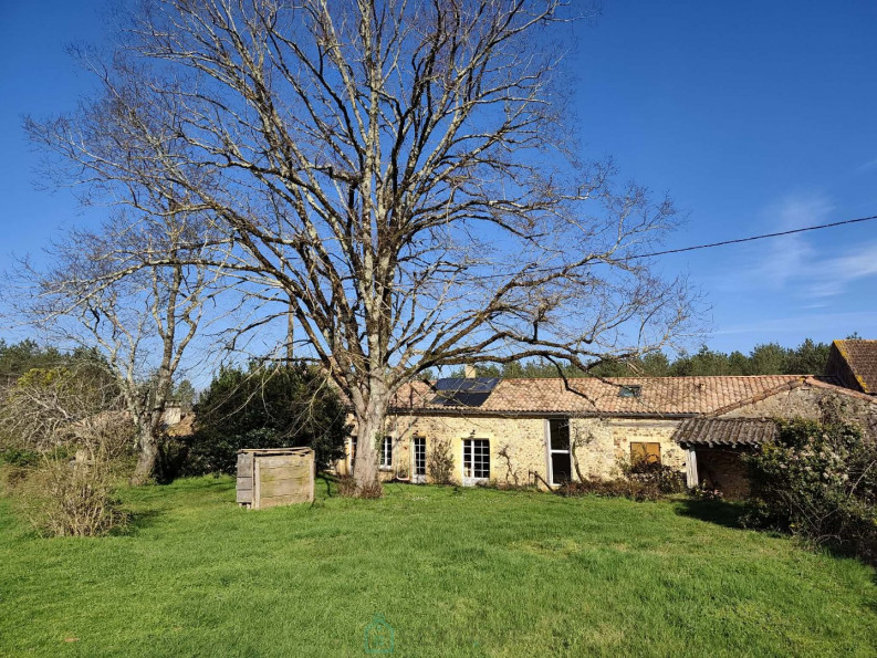 vente Haras / equestre Monpazier - Photo 3