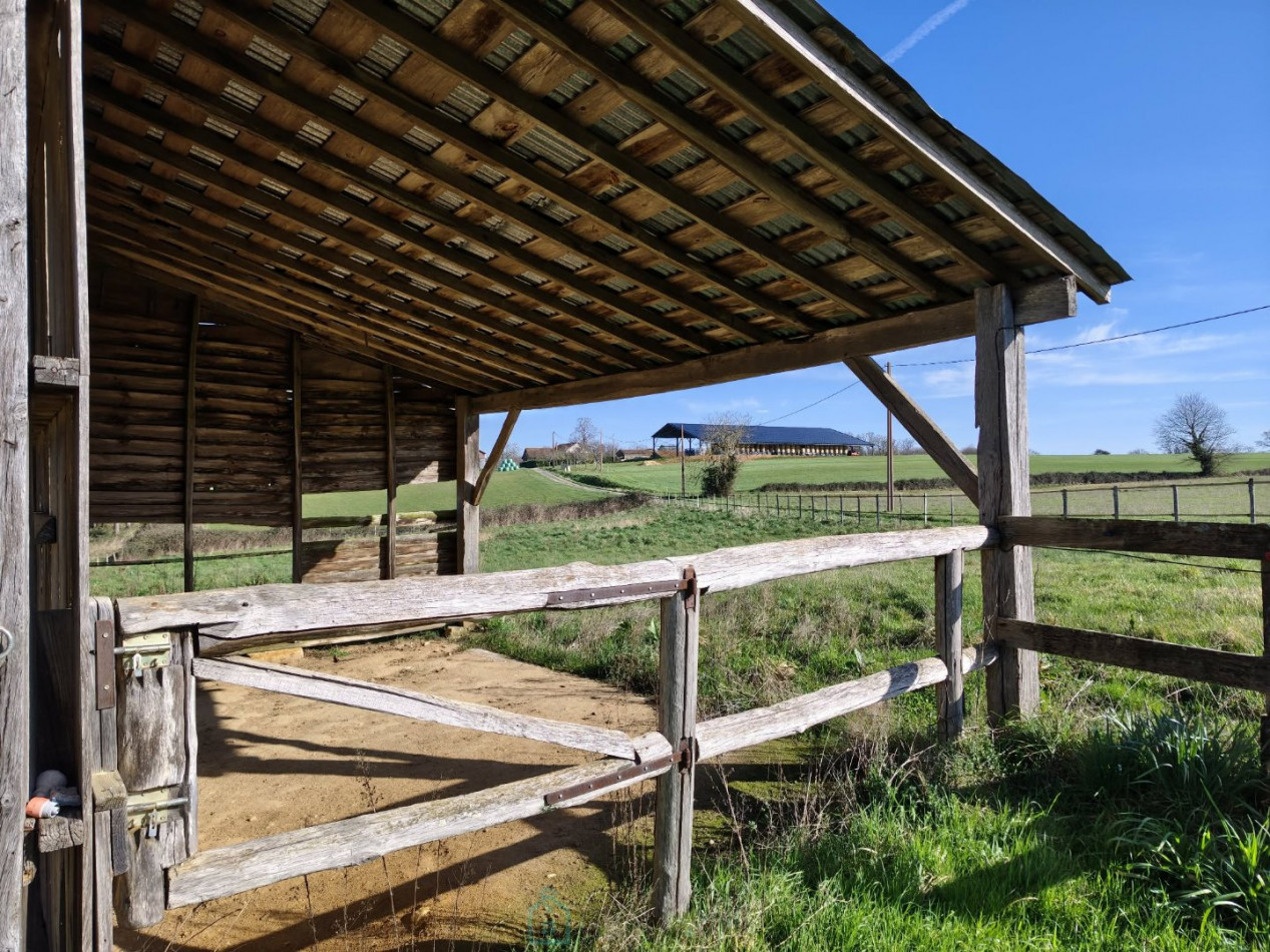 vente Haras / equestre Monpazier - Photo 13