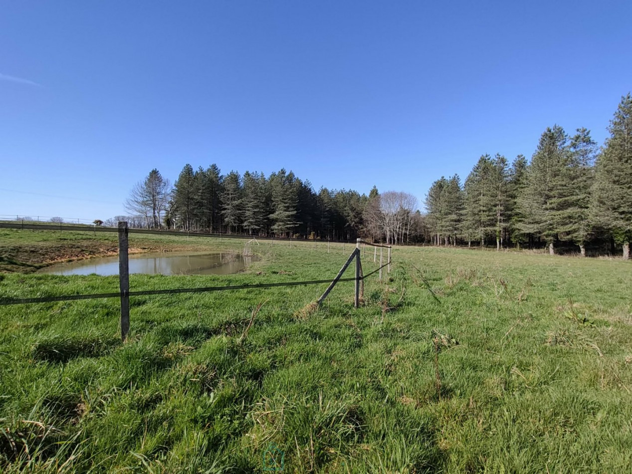 vente Haras / equestre Monpazier - Photo 14