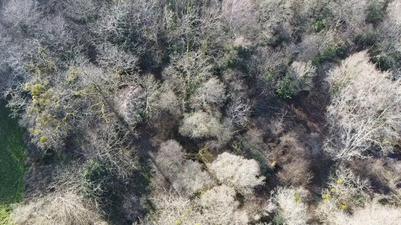 vente Terrain Piegut Pluviers - Photo 5