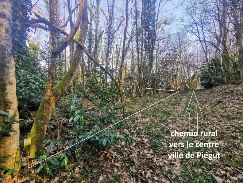 vente Terrain Piegut Pluviers - Photo 5