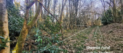 vente Terrain Piegut Pluviers