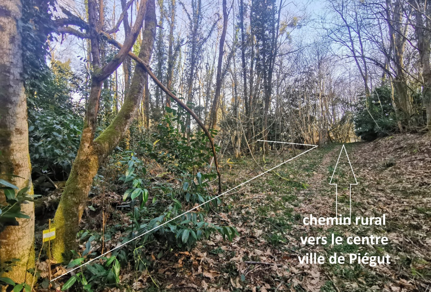 vente Terrain Piegut Pluviers - Photo 5