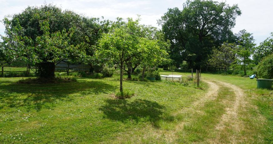 vente Domaine Saint Jory De Chalais