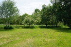 vente Domaine Saint Jory De Chalais