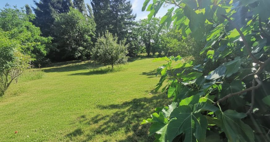 vente Maison Amboise