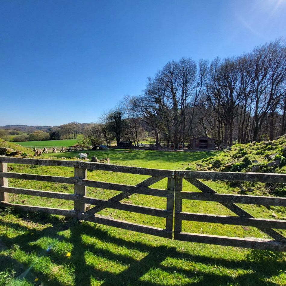 vente Maison et dépendances Guern - Photo 20
