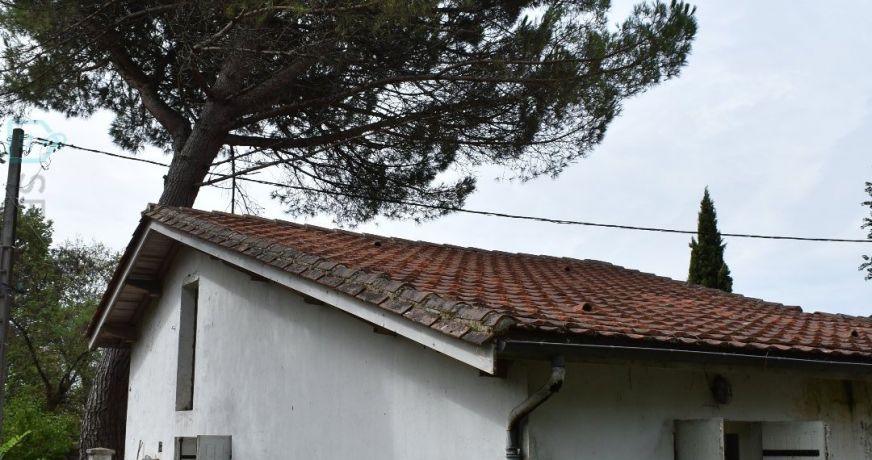 vente Maison Moulin-neuf