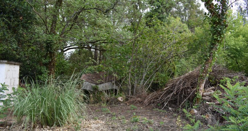 vente Maison Moulin-neuf