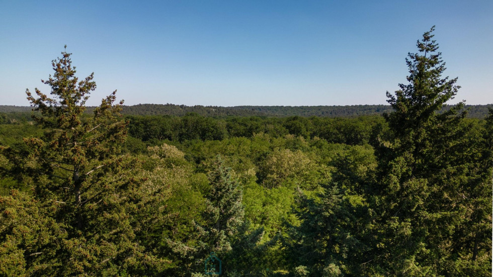 vente Appartement Barbizon - Photo 6