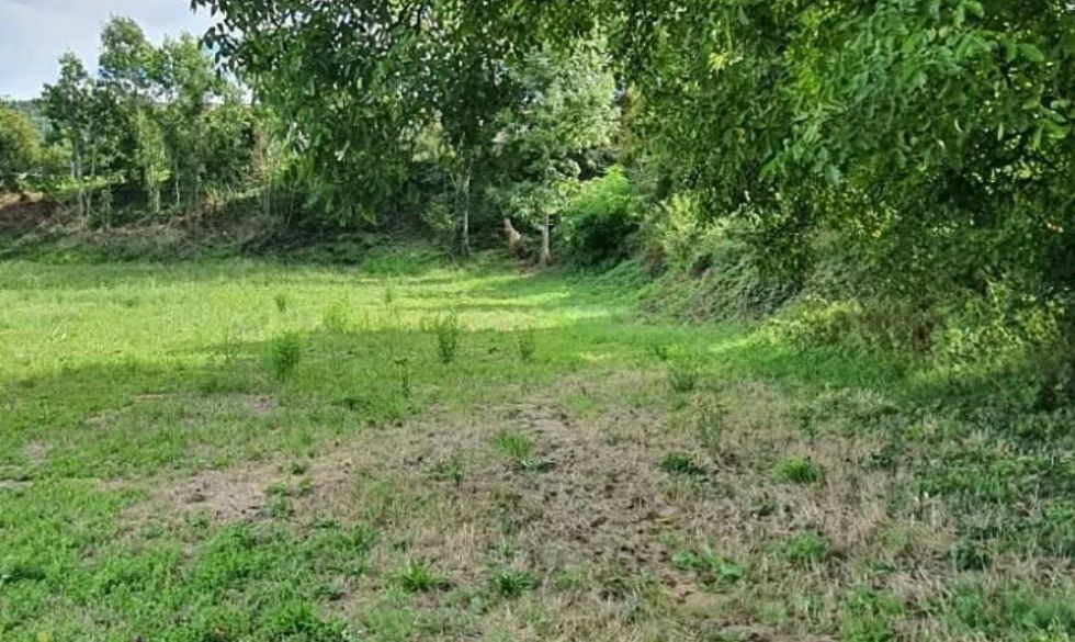 vente Saint Saturnin