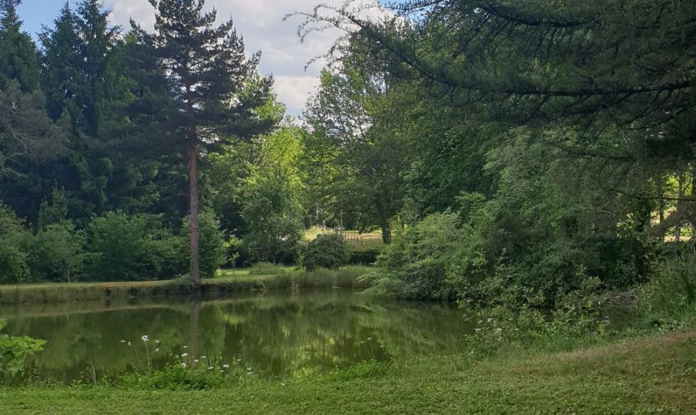 vente Rouffignac Saint Cernin De Reilhac