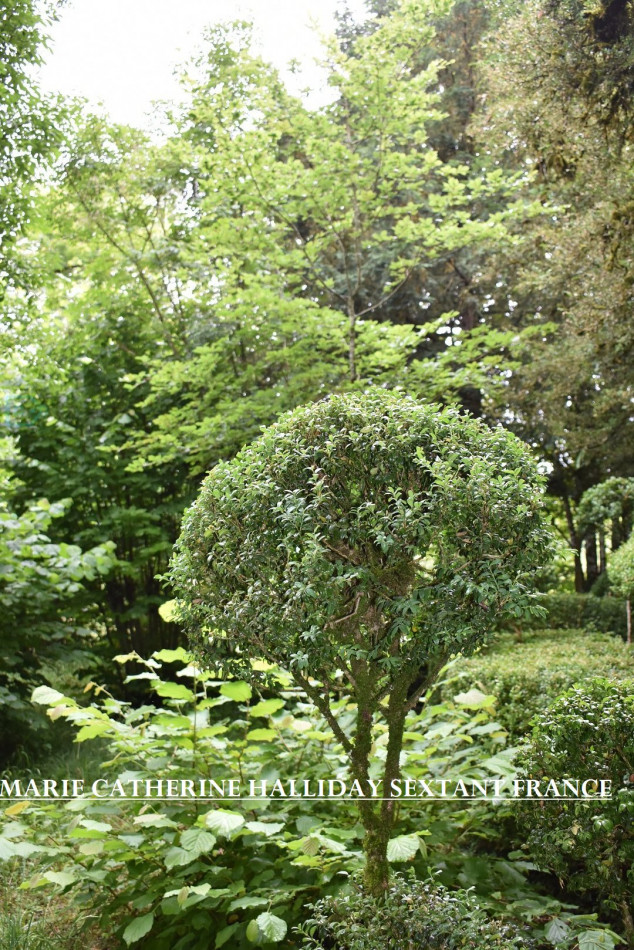 vente Château Sorges - Photo 24