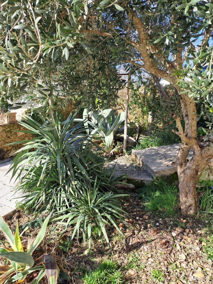 vente Maison de caractère Chancelade - Photo 6