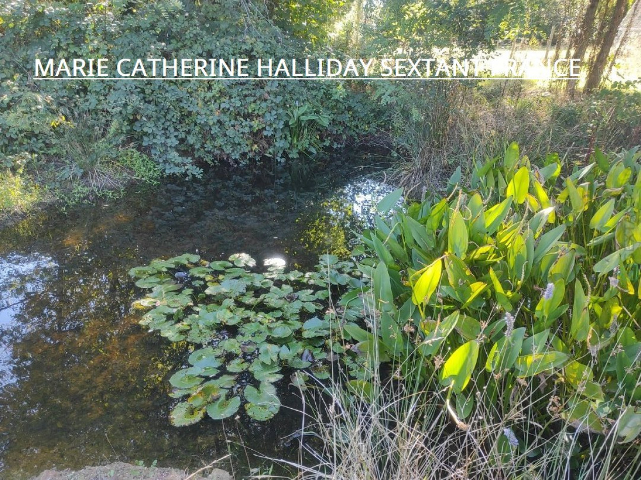 vente Corps de ferme Montrem - Photo 9