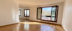 vente Appartement terrasse Issy Les Moulineaux