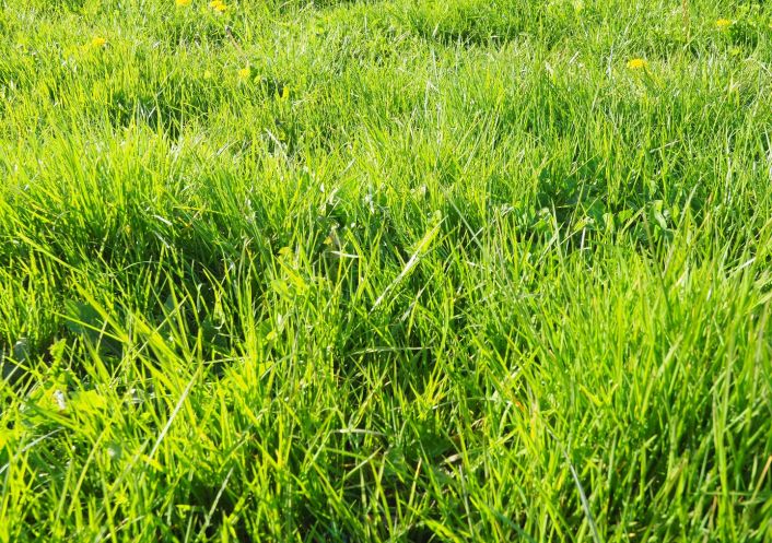 vente Terrain constructible Groix