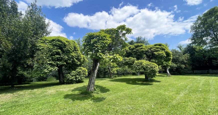 vente Château Cherves Richemont