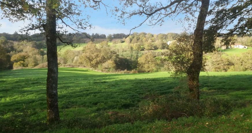 vente Maison de maître Confolens