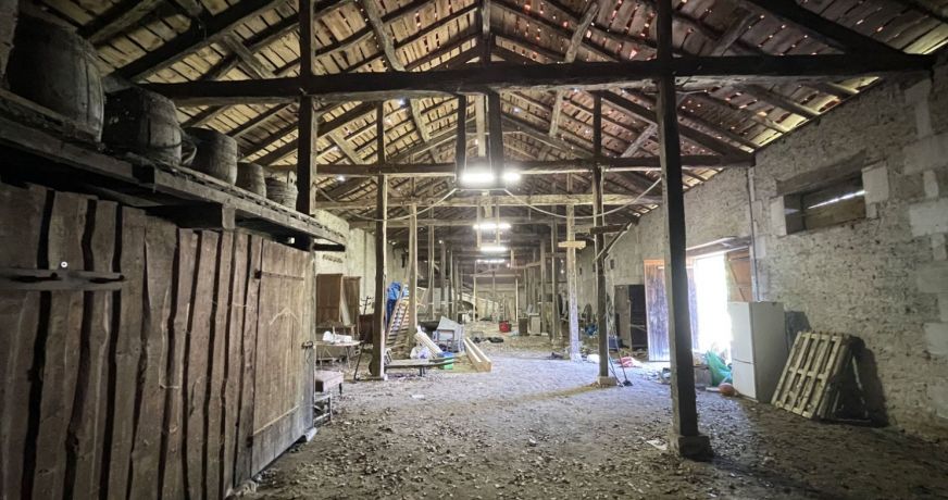 vente Domaine Barbezieux Saint Hilaire