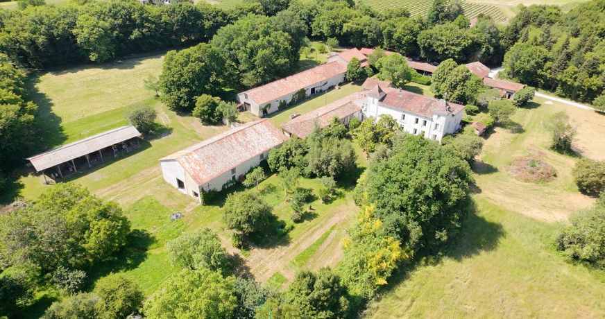 vente Domaine Barbezieux Saint Hilaire