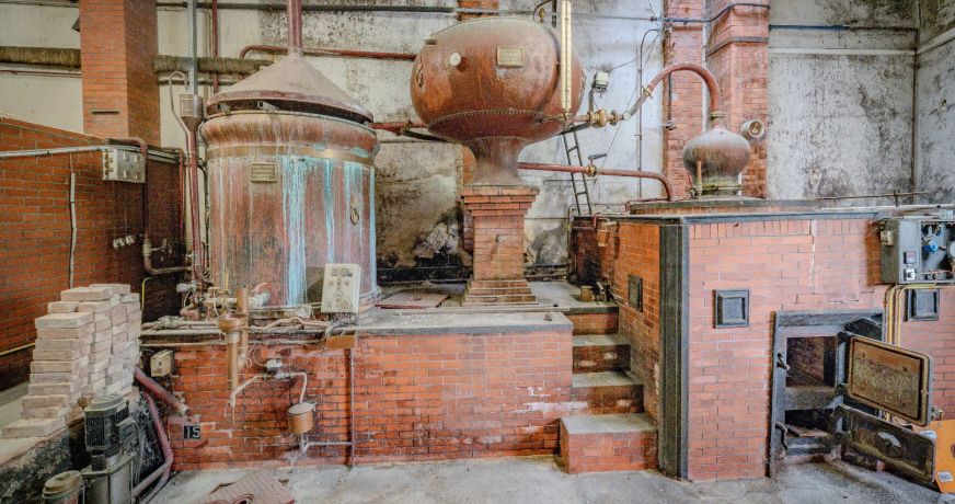 vente Maison de maître Segonzac