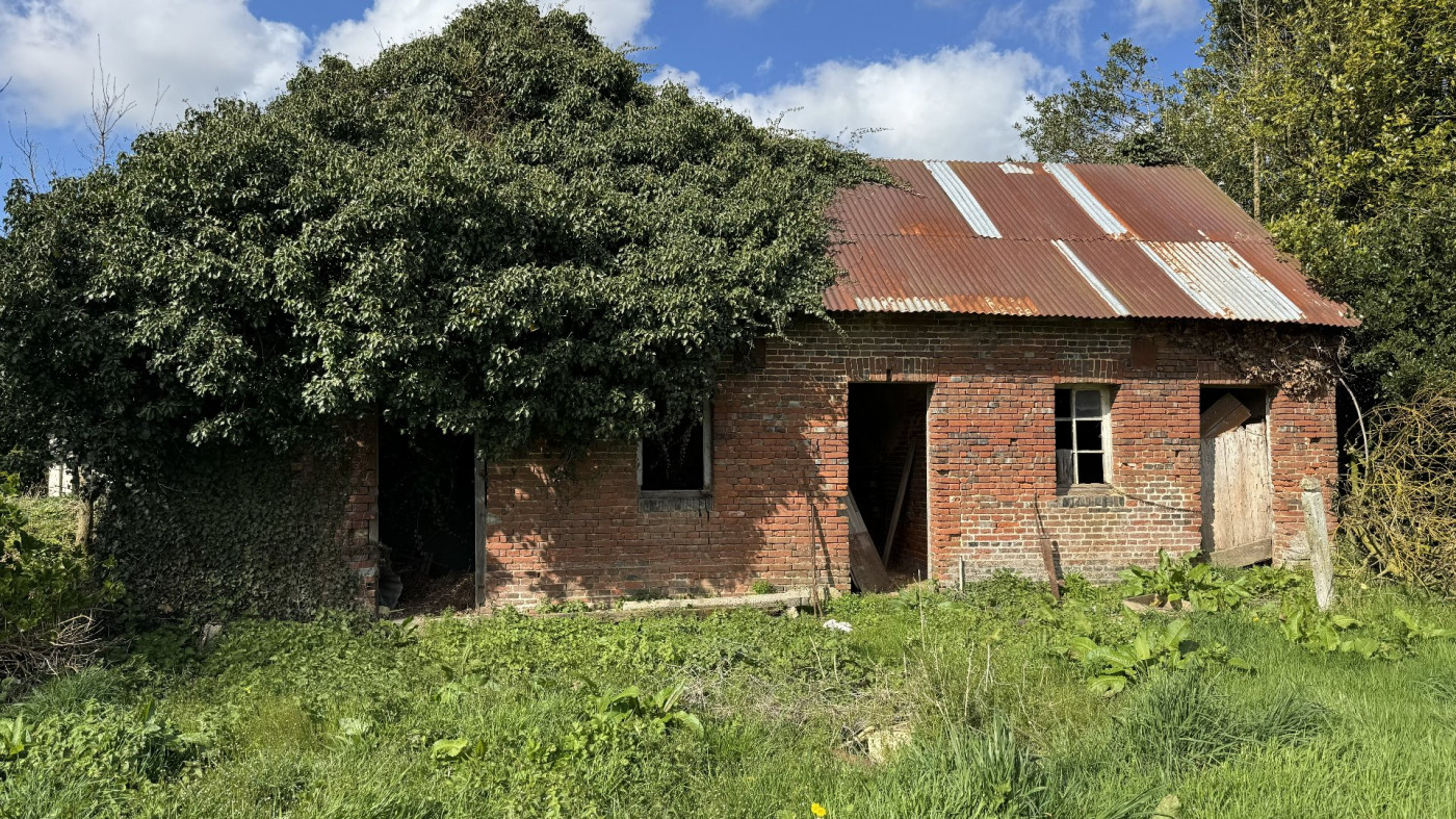 vente Terrain constructible Bretteville Du Grand Caux - Photo 2