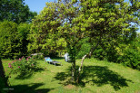 vente Maison de campagne Jumilhac Le Grand