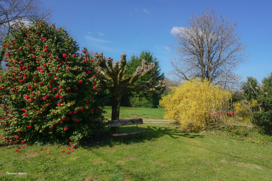vente Maison de campagne Saint Priest Les Fougeres - Photo 8