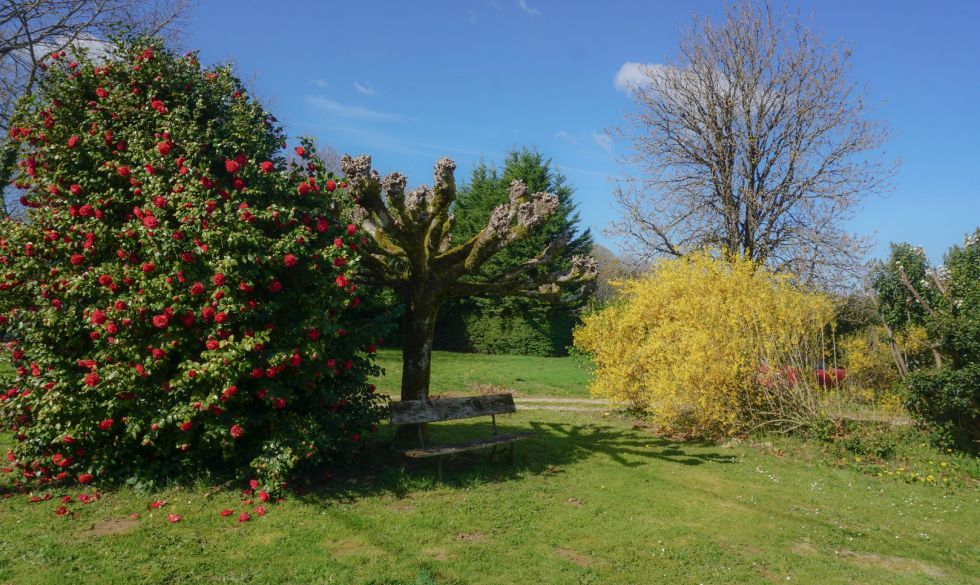 vente Saint Priest Les Fougeres