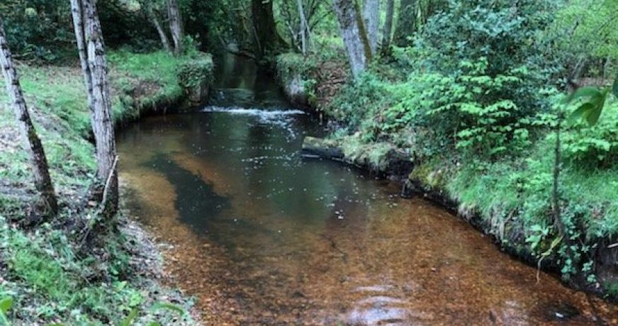 vente Château Salbris