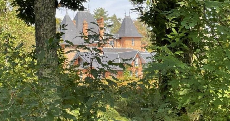 vente Château Salbris