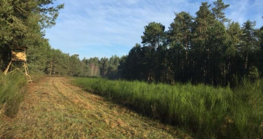 vente Château Salbris