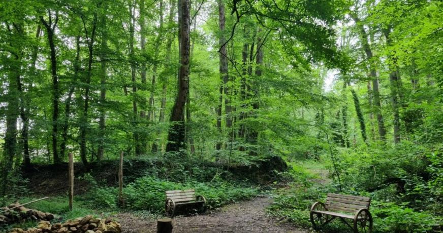 vente Propriété Coulommiers
